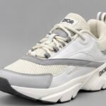 Dior b22 N